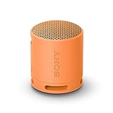 Sony SRS-XB100 - Kabelloser Bluetooth-Lautsprecher, tragbar, leicht, kompakt, Outdoor, Reise-Lautsprecher, langlebig, IP67 Wasser- und staubdicht, 16 Std Akku, Trageriemen, Freisprechfunktion, orange