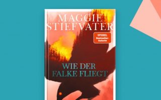 Zum Sonderpreis: „Wie der Falke fliegt“ neuer Apple Pageturner der Woche