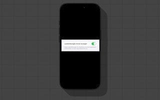 iOS 18.2: Lautstärkeregler lässt sich wieder auf Sperrbildschirm einblenden